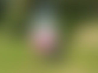 cotton candy hire London Surrey Kent