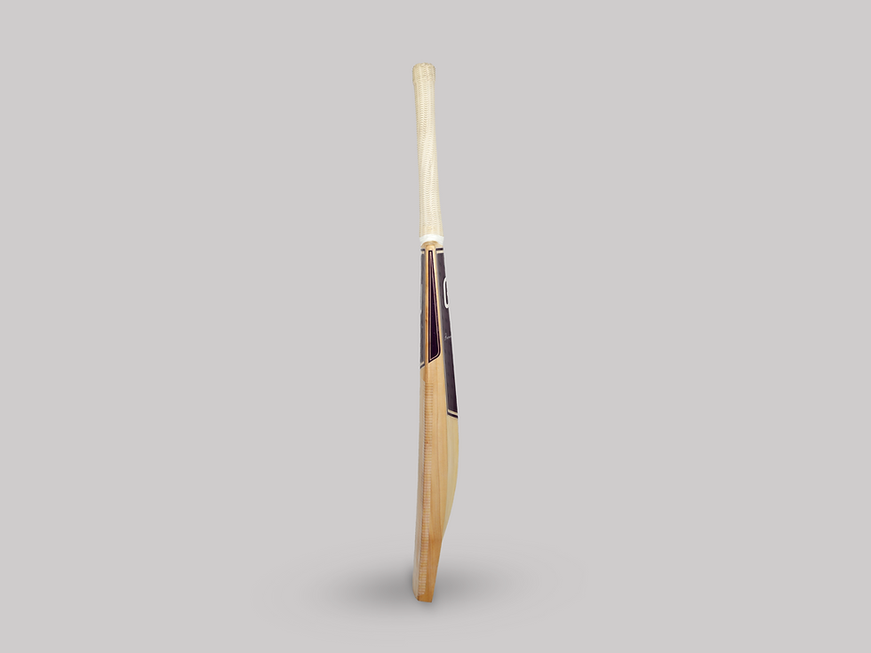 Thumbnail: GJ Power Edition Bat Grade 2