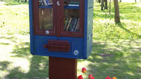 Da veins toks yr Plunge