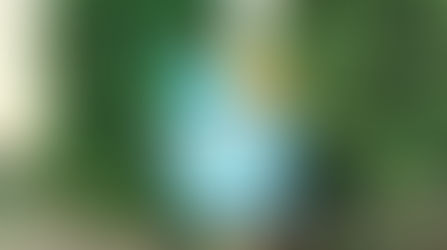 Metas aplankyti Šlienavą!