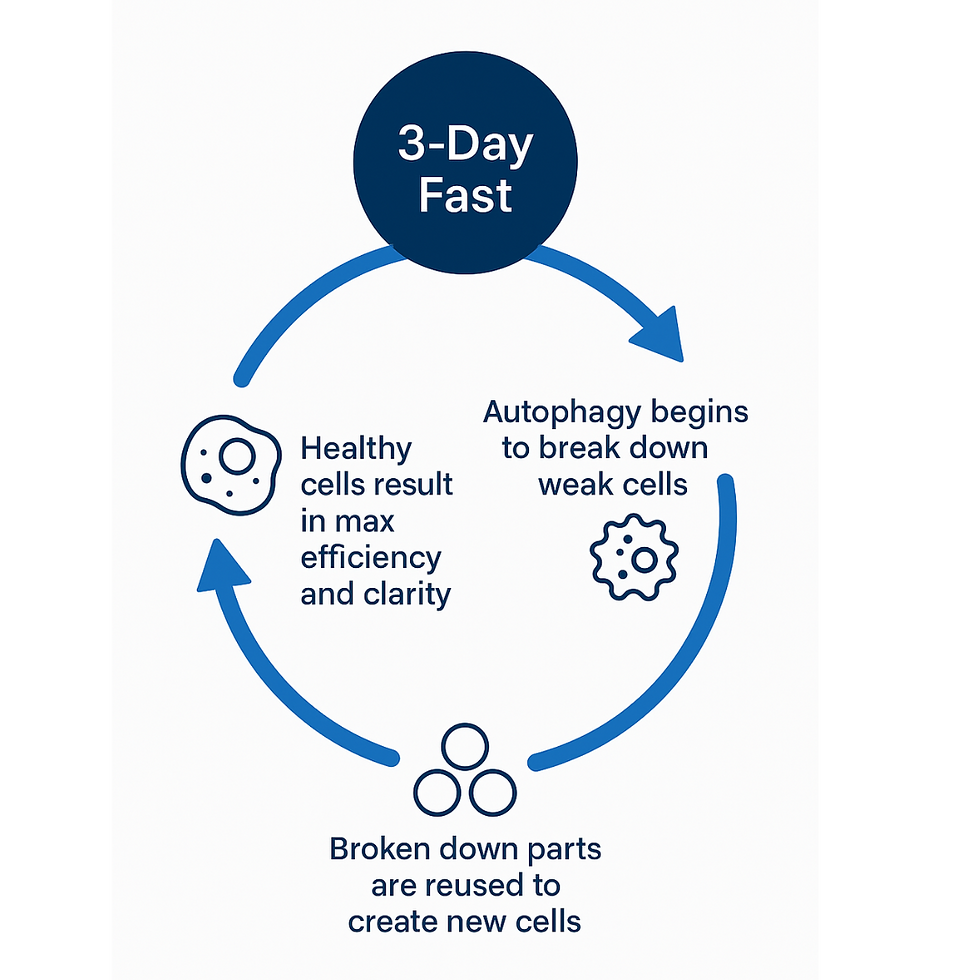 fast patch infographic (Instagram Post).