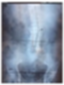 untitled (38).png