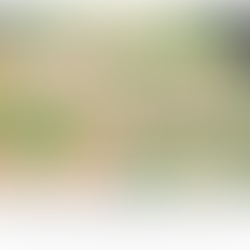 HCG Diet Recipe 6: Frozen Shrimp & Green Beans (Fast, Lean, and Loaded with Protein)