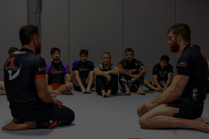 Diamond State Martial Arts-BJJ Class-Lovato seimar _edited_edited.jpg