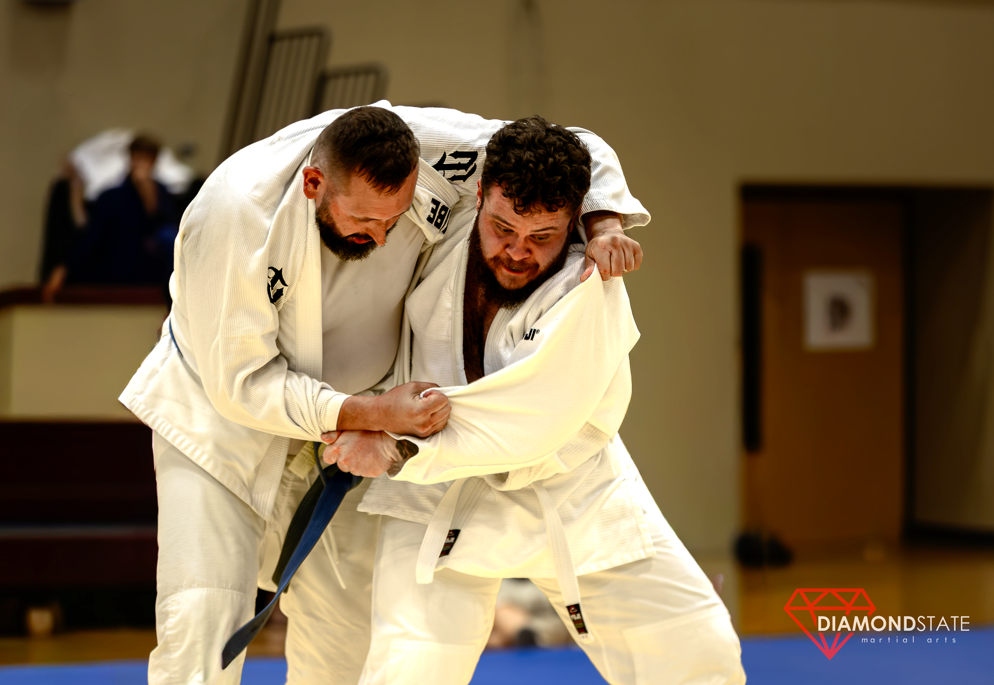 Diamond State Martial Arts facility image