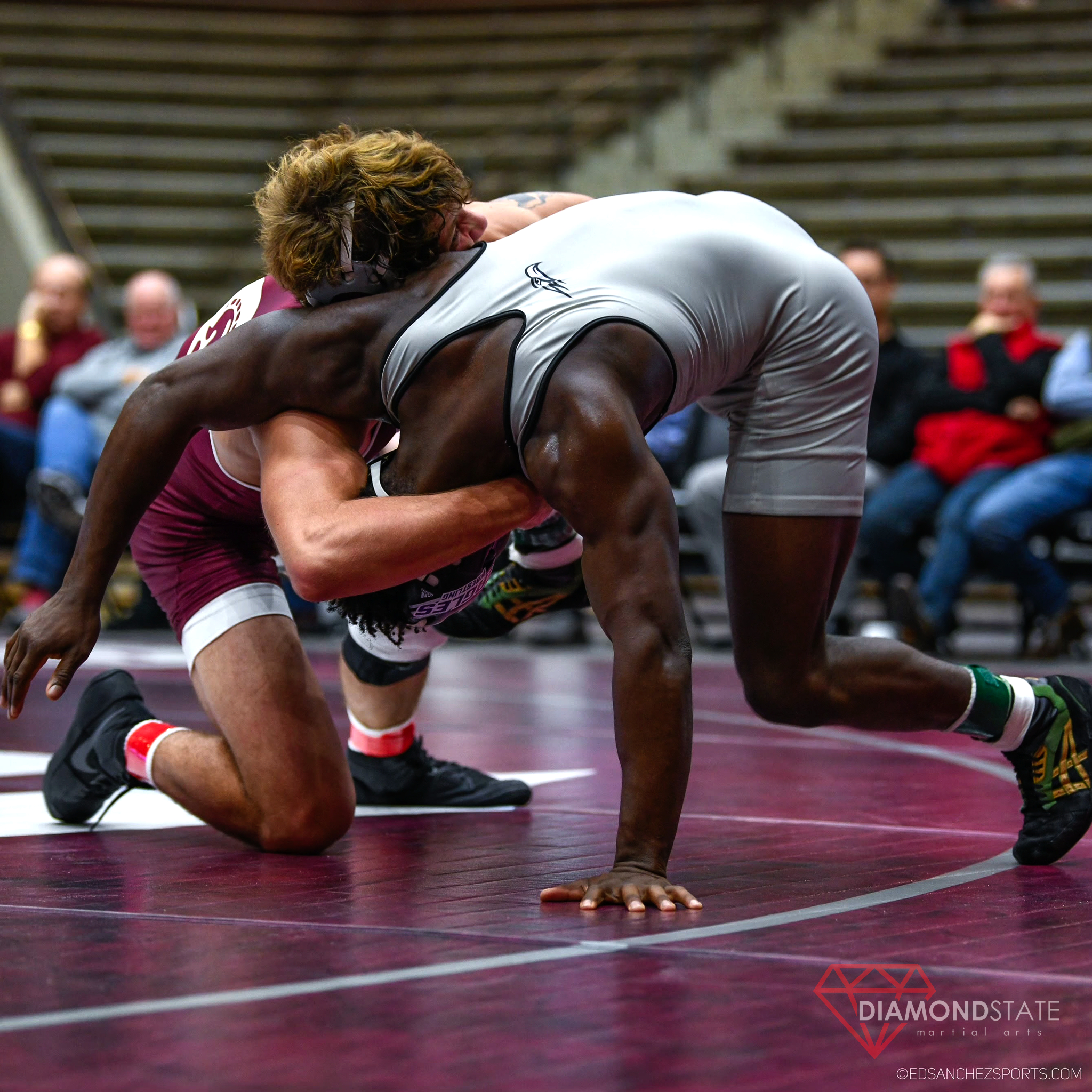 Diamond State Martial Arts facility image