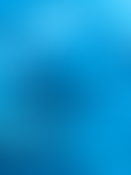 Oops! Home Prices Didn’t Crash After All