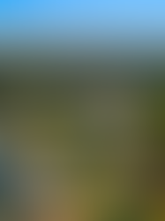 Key Factors Affecting Home Affordability Today