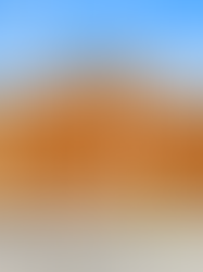 Why You May Want To Seriously Consider a Newly Built Home