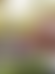 Your Needs Matter More Than Today’s Mortgage Rates