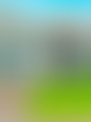 Thinking About Buying a Home? Ask Yourself These Questions