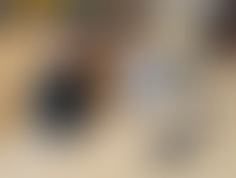 Biber-Wettbewerb 2025