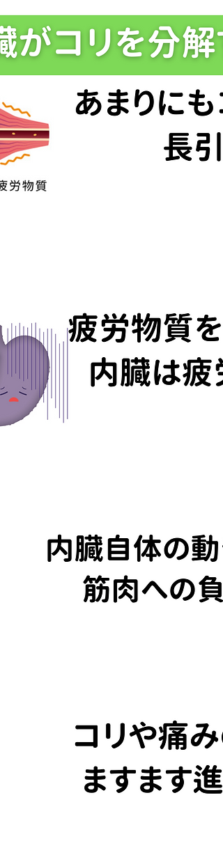 内臓疲労についての説明1