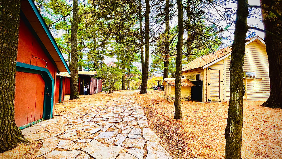 Stone pathway winding between colourful wooden cabins among tall trees.