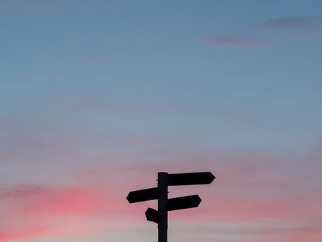 Diverse Writing Opportunities for Freelance Health Content Writers in the Healthcare Field