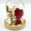 Miniature : La cloche en verre & sa rose éternelle