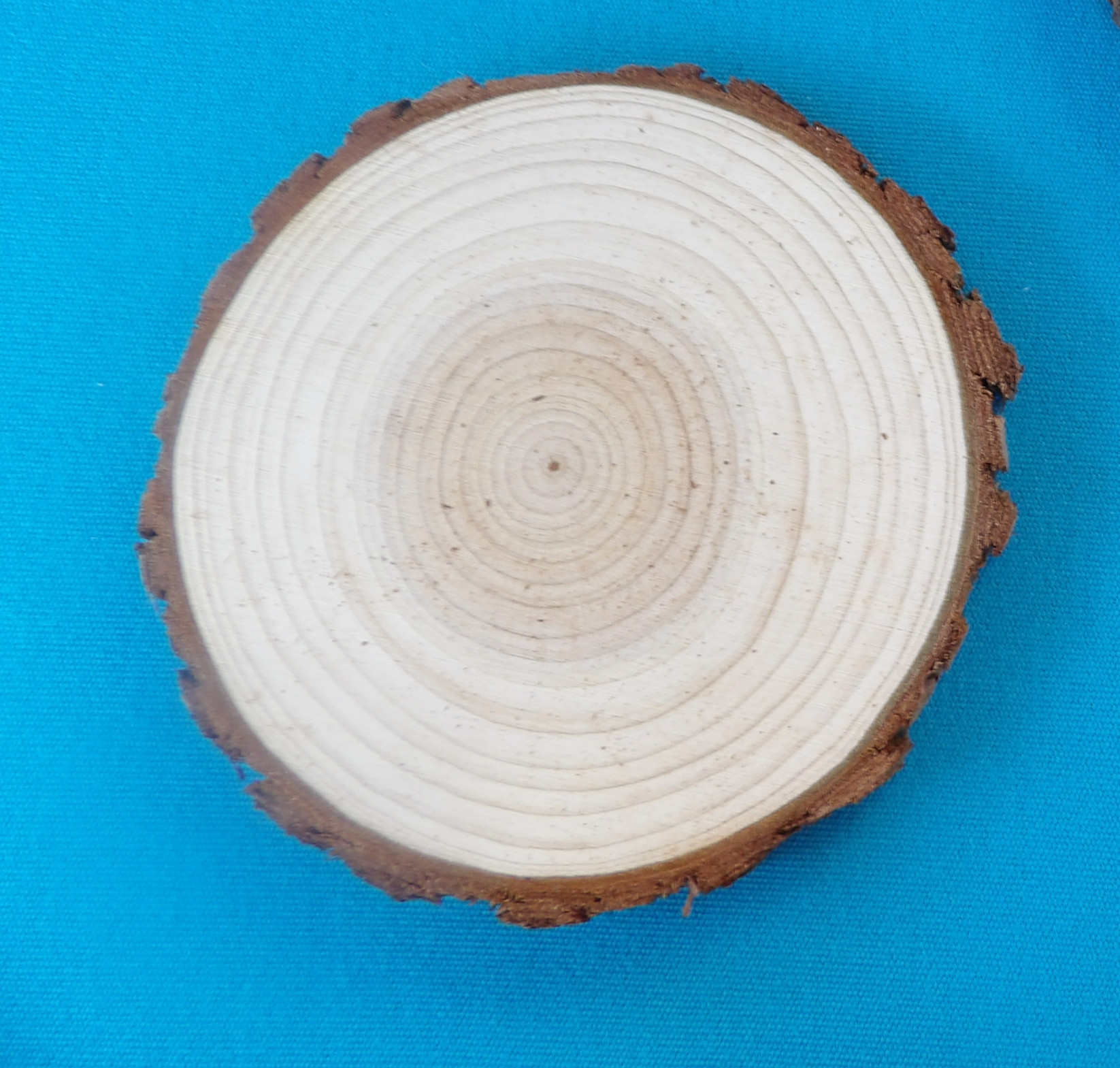 Ronde boomstam 11x1 cm