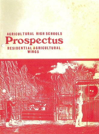 Prospectus 1