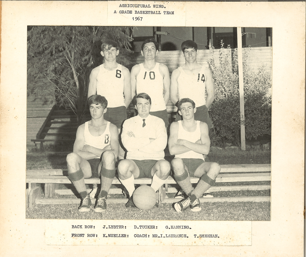 1967 A Grade Basketball