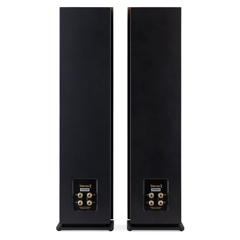 Miniatura: Ruark Talisman-R - Colunas