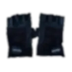 training/gym gloves