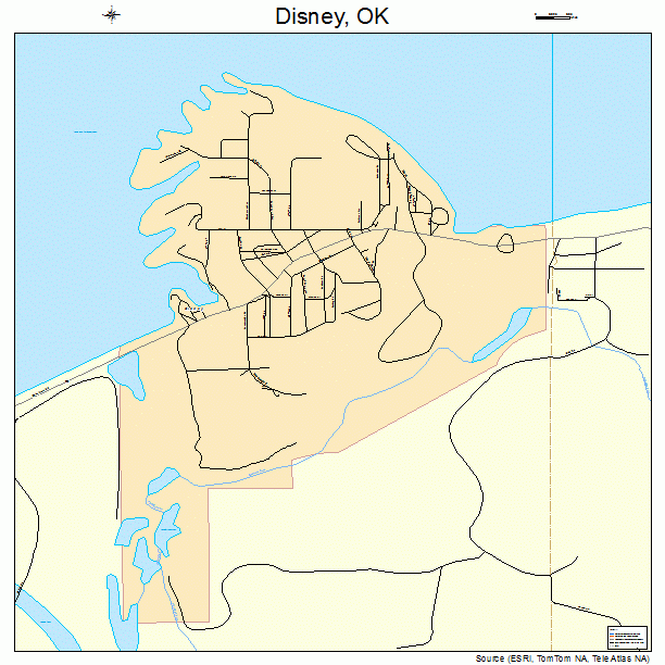 Disney street map.gif