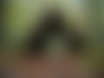 Jak przetrwać w terenie: Porady eksperta