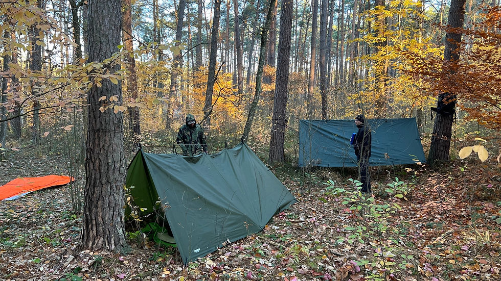 Tarpy rozwieszone między drzewami, wyglądające jak namioty na polu biwakowym