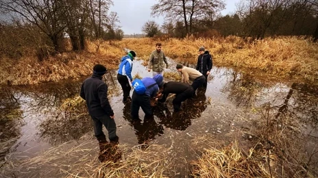ekstremalne szkolenie survivalowe, przeprawa przez bagna