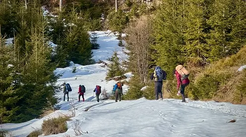 Kursanci podczas trekkingu na szkoleniu survivalowym LifeTrip