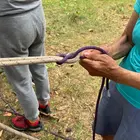 Węzły survivalowe to podstawa umiejętności