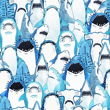 Tam-Tile-Shark-0101.png