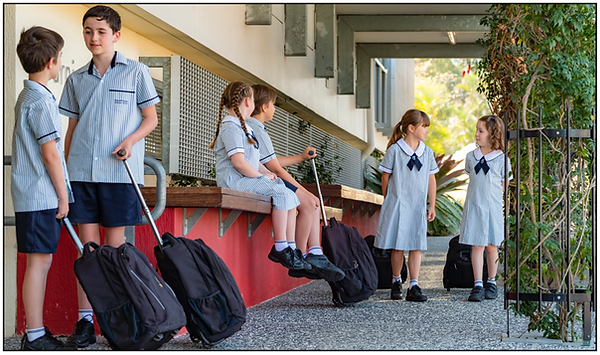 Enrolments.png