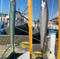 Leurres utilisés pour la pêche du bar en mer à Calais