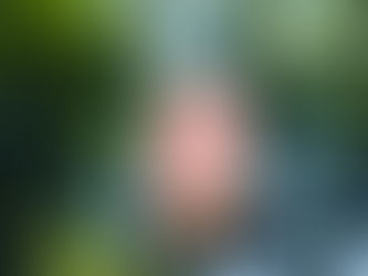 足るを知る