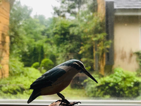 出来ることからやってみる✨