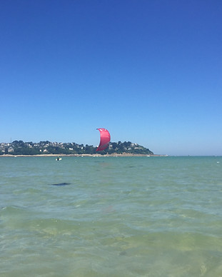IMG_2495.jpeg