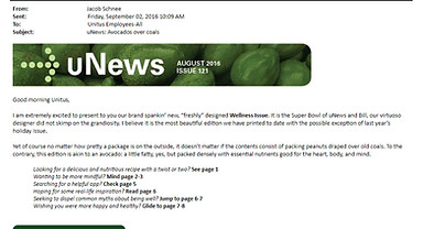 Internal-Email-Example-uNews-Avocados-Over-Coals-2.jpg