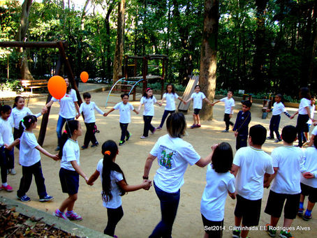 Crianças que crescem em espaços urbanos verdes têm melhor desempenho escolar