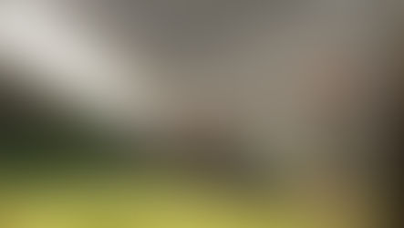 Direito ao livre brincar 