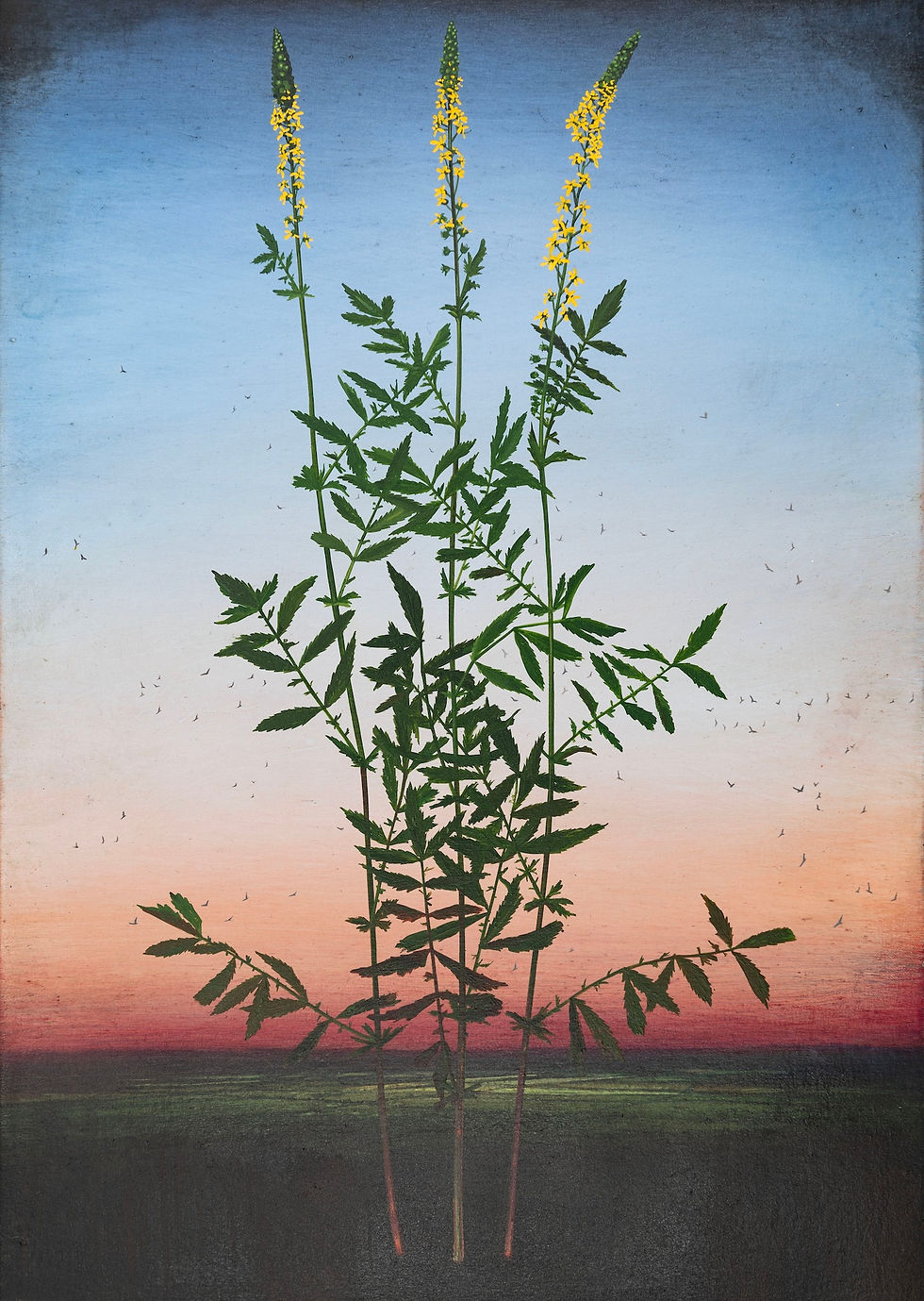 Michael Canning