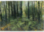 Forthcoming exhibition | Donald Teskey | Castlemorris Woods