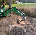 stump3.JPEG