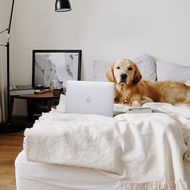 เครื่องฟอกอากาศแรงดันบวก เครื่องปรับอากาศแรงดันบวกสำหรับ ห้องที่มีสัตว์เลี้ยง สุนัข แมว 
G-LIFE Positive Air Pressure