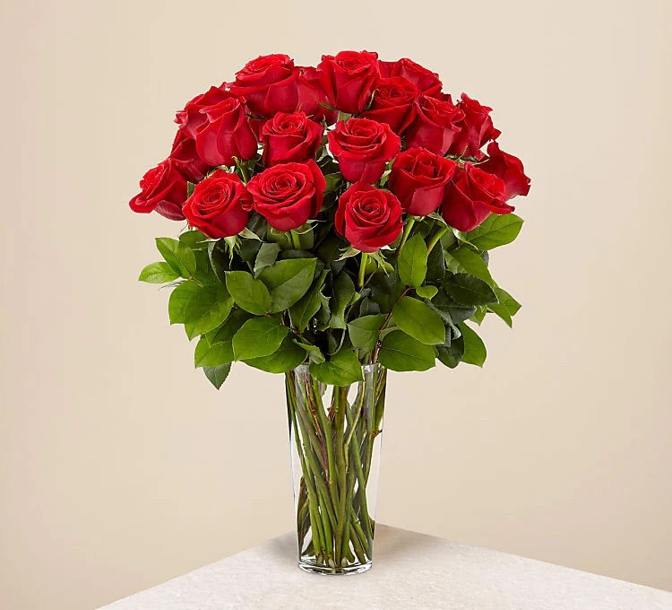 Thumbnail: Pure Love - Two Dozen