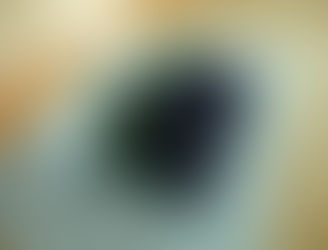 hananowa*garden 7月のご案内