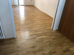 104938263_360607294901926_79811842754048