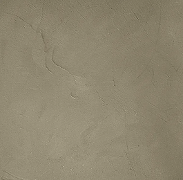 7006.webp
