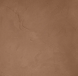 8007.webp