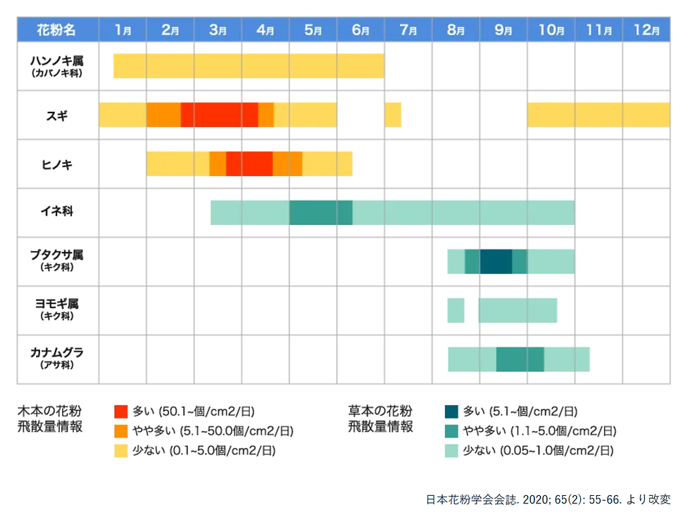11月のスギ花粉症